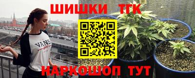 гидра Новокубанск