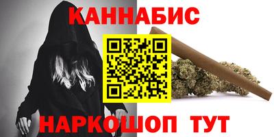 индика Новозыбков