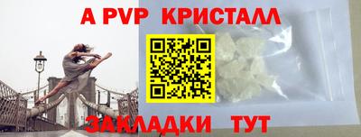 индика Новозыбков