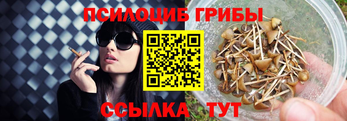 Псилоцибиновые грибы прущие грибы  Псилоцибиновые грибы Magic Shrooms  Таганрог  Вход с VPN 