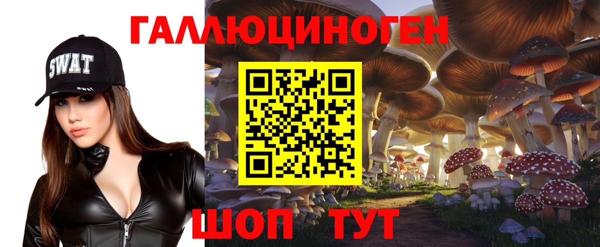 Галлюциногенные грибы прущие грибы Таганрог